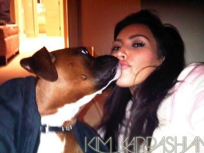 Σκότωσε το σκύλο της;