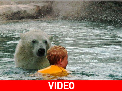 Κολύμπι παρέα… με μια πολική αρκούδα
