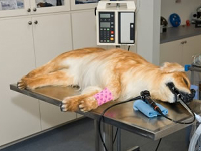 TA NEA TOY MΠΙ-ΚΟΥ-ΤΙ