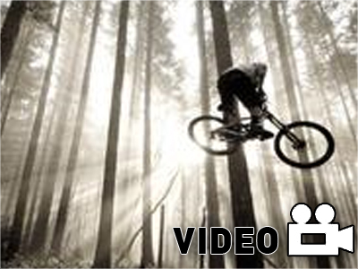 Knolly Team εν δράσει