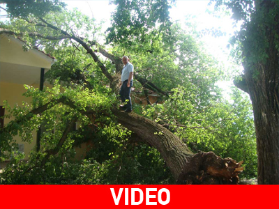 «Από θαύμα δεν θρηνήσαμε θύματα»