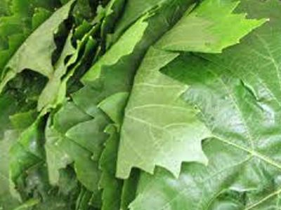 Κατασχέθηκαν ακατάλληλα αμπελόφυλλα