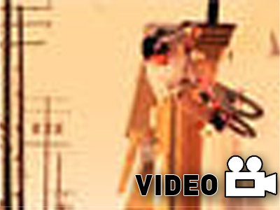 Englishman in New York