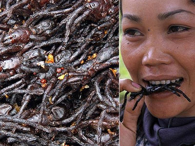 Τηγανιτή ταραντούλα… η σπεσιαλιτέ του μαγαζιού