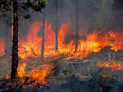 Υπό πλήρη έλεγχο η φωτιά στην Παιανία