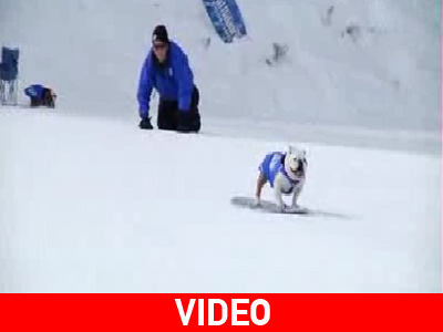 Επίδοξοι σκιέρ…