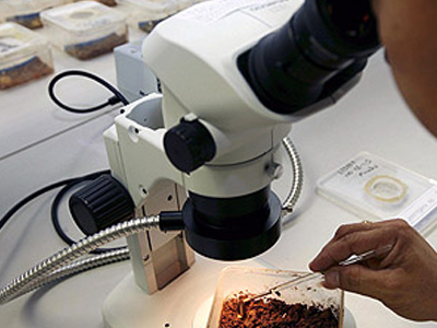 «SOS» για φάρμακο που βοηθά στην καταπολέμηση της λευχαιμίας