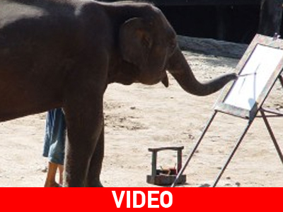 Έχει καλλιτεχνική φλέβα!