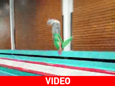 Ο άνθρωπος… «τραμπάλα»