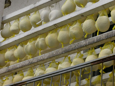 Είχαν κλέψει τυρί αξίας… 200.000 ευρώ