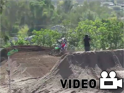 Πράσινος πυρετός