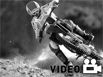 Ron «the Dogger» Lechien