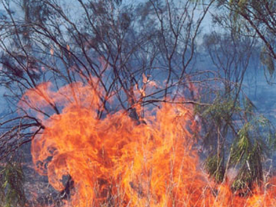 Υπό έλεγχο οι πυρκαγιές σε Πάτρα, Βόλο και Νεμέα