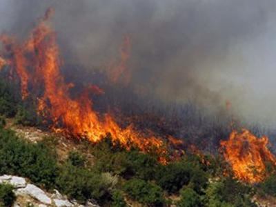 Yπό μερικό έλεγχο οι πυρκαγιές στη Ζάκυνθο