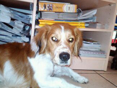 Χάθηκε και ψάχνει την οικογένειά του