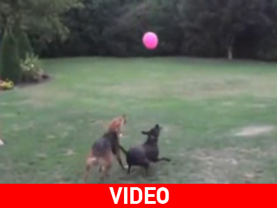 Το παιχνίδι τώρα ξεκινά!