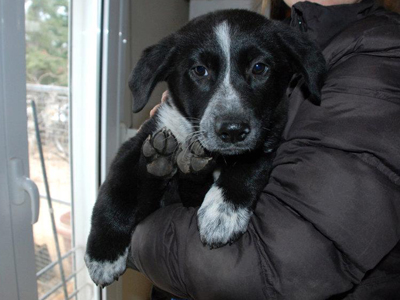 Χαρίζεται η Μπαλού