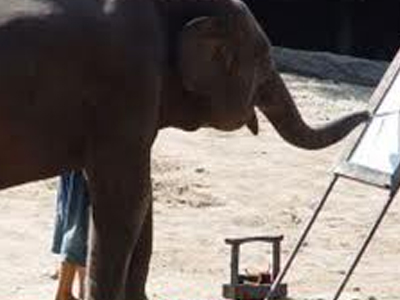 ΤΑ ΝΕΑ ΤΟΥ ΜΠΙ-ΚΟΥ-ΤΙ