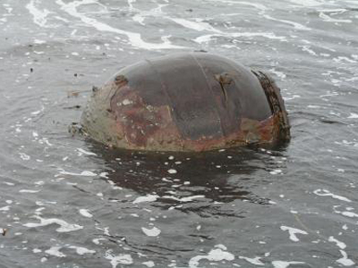 Δυσάρεστη “έκπληξη” για λουόμενο