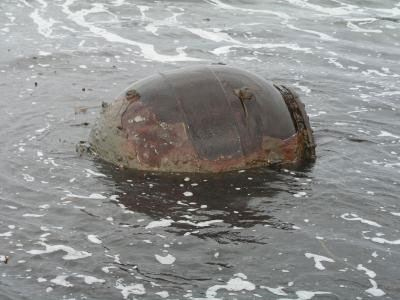 Εξουδετέρωσαν θαλάσσιες νάρκες