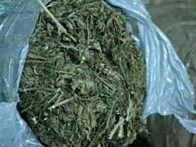 Έκαψαν «τόνους» ναρκωτικών