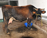 Η Μαρίκα επέστρεψε στο σπίτι της