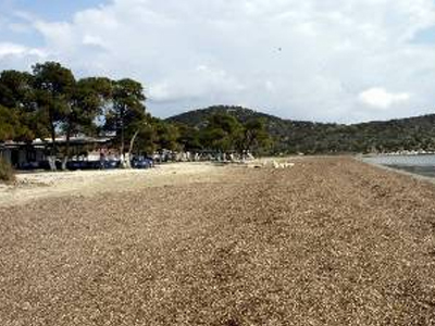 Στις 13 Μαΐου καθαρίζουν την παραλία Ωρωπού