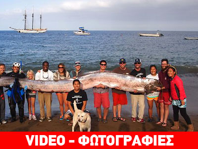 Καλιφόρνια: Σπάνιο ψάρι-τέρας μήκους πέντε μέτρων