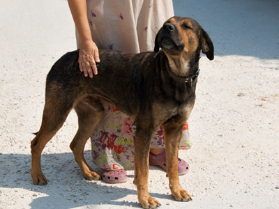 Ο Jeff ψάχνει σπίτι!