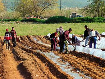 Όλοι θα πάρετε…