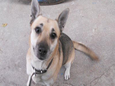 Μην της γυρίζετε την πλάτη