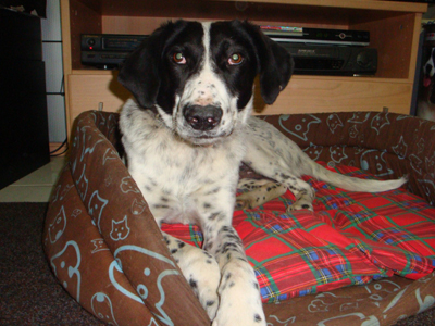 Ο Ορλάντο της καρδιάς μας