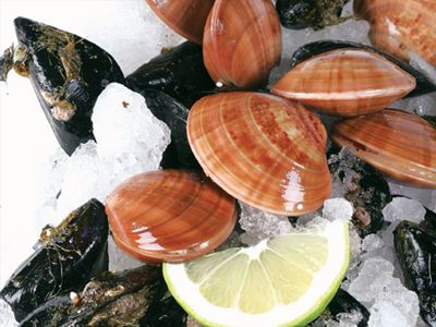 Σύλληψη για παράνομα όστρακα στην Αλεξανδρούπολη