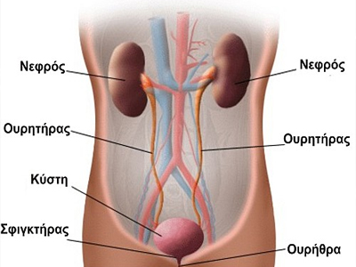 Τι είναι η ουρία;