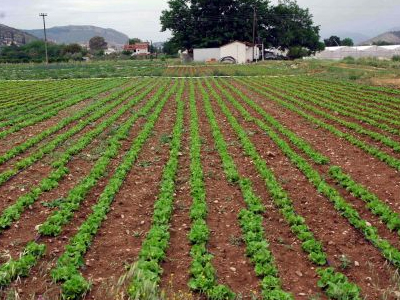 Πρόγραμμα απασχόλησης Ελλήνων ανέργων στη Σπάρτη