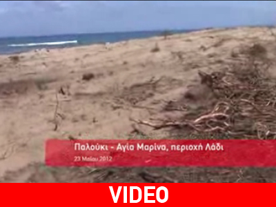 Ηλεία: Οικολογική καταστροφή στην παραλία Δουνέικων – Παλουκίου