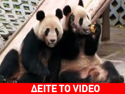 Ας κερδίσει ο καλύτερος!