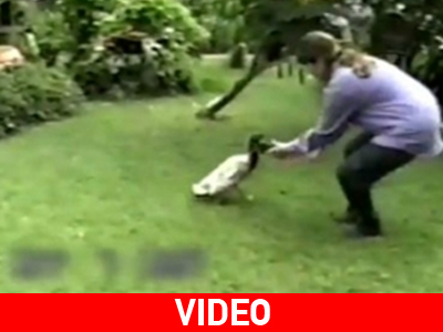 Μήπως στην προηγούμενη ζωή της ήταν σκύλος;