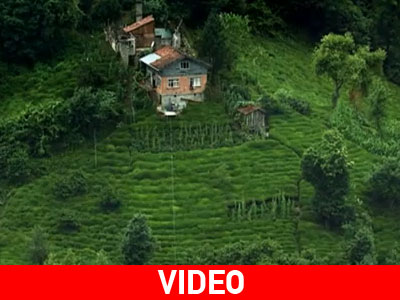 «Ο Παράδεισος Δεν Είναι Εδώ»