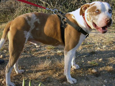 Χάθηκε ο Πάρις