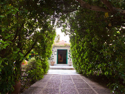 Πάρκο Ελευθερίας: Απόδραση στο κέντρο της Αθήνας