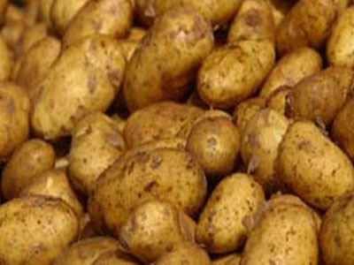 Στα ύψη οι τιμές της πατάτας