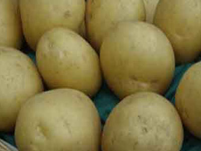 Σταθερή η τιμή της πατάτας στις γιορτές