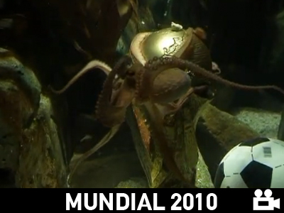 Κρέμασε τα… παπούτσια του!