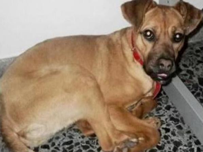 Χάθηκε η Παυλίνα