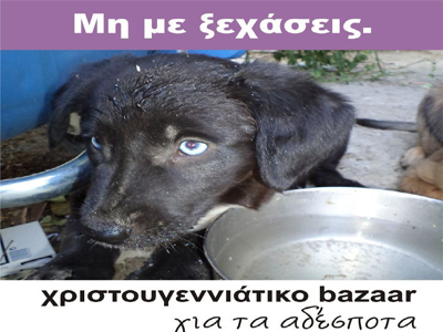 Χριστουγεννιάτικο Bazaar του Stray.Gr για τα αδέσποτα ζώα