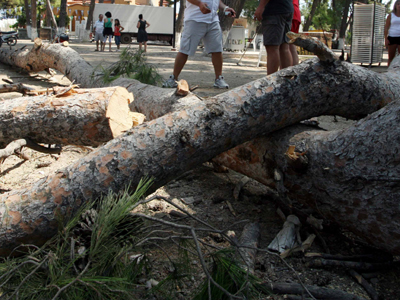 Η κατάσταση των τραυματιών από την πτώση πεύκου