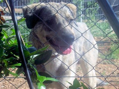 Ο Perry ψάχνει κάποιον να τον αγαπήσει