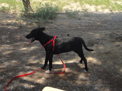 Η Πέρσα αναζητεί τη δική της οικογένεια