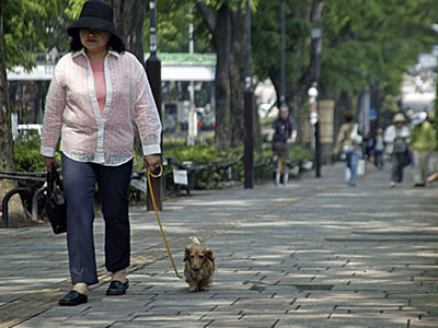 Οι φίλοι μας τα ζώα